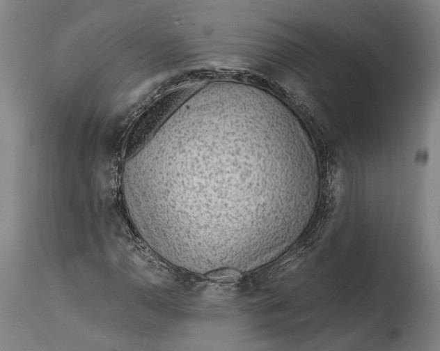 X0000114601110200911161347