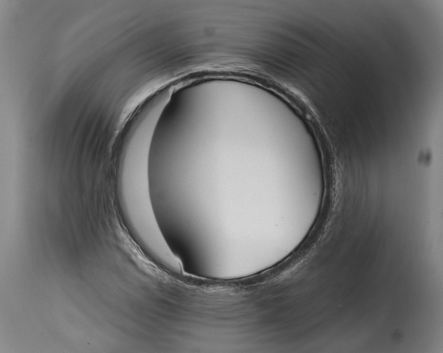 X0000114601114200911161347