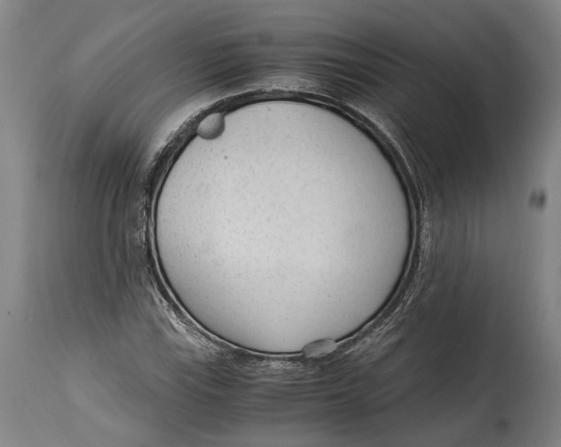 X0000114601115200911161347