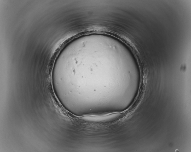 X0000114601117200911161347