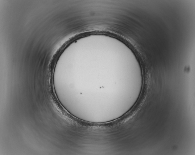 X0000114601118200911161347