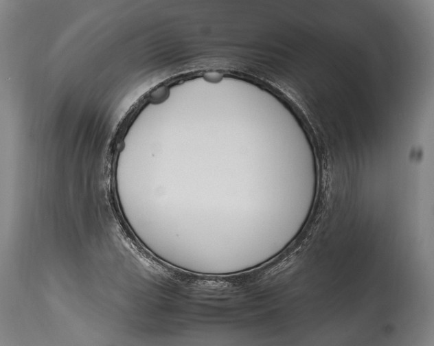 X0000114601119200911161347