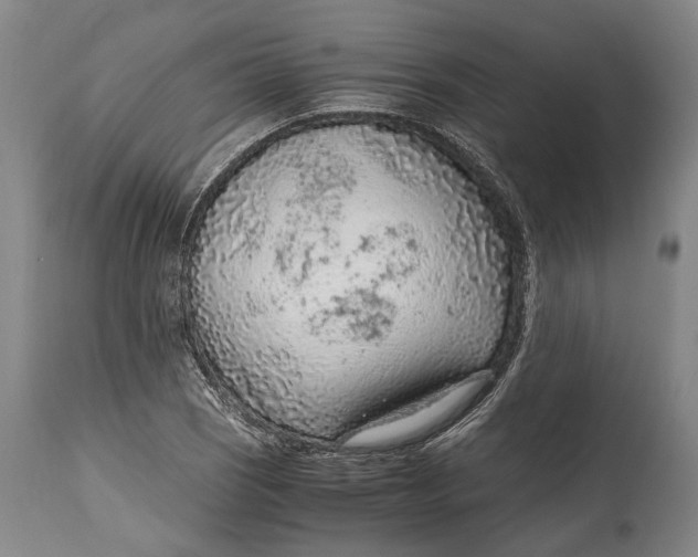 X0000114601121200911161347