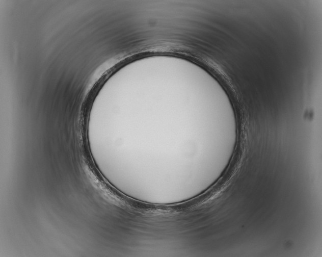 X0000114601122200911161347