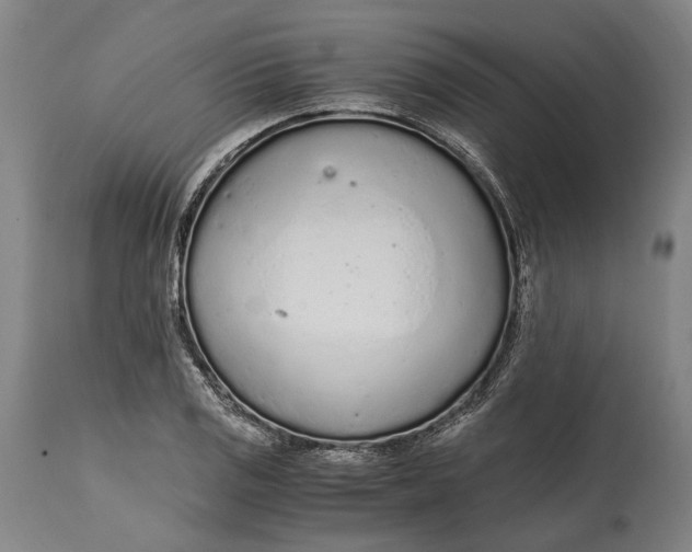 X0000114601125200911161348