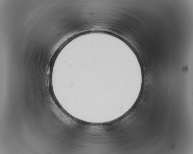 X0000114601126200911161348