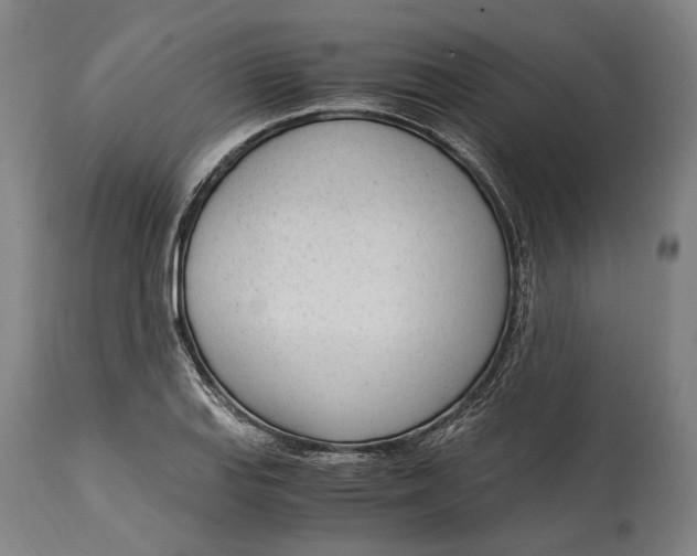 X0000114601127200911161348