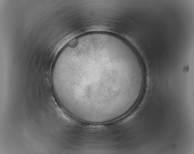 X0000114601129200911161348