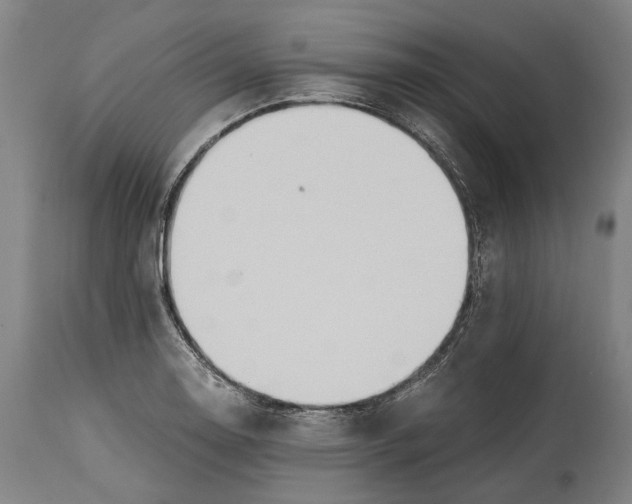 X0000114601130200911161348