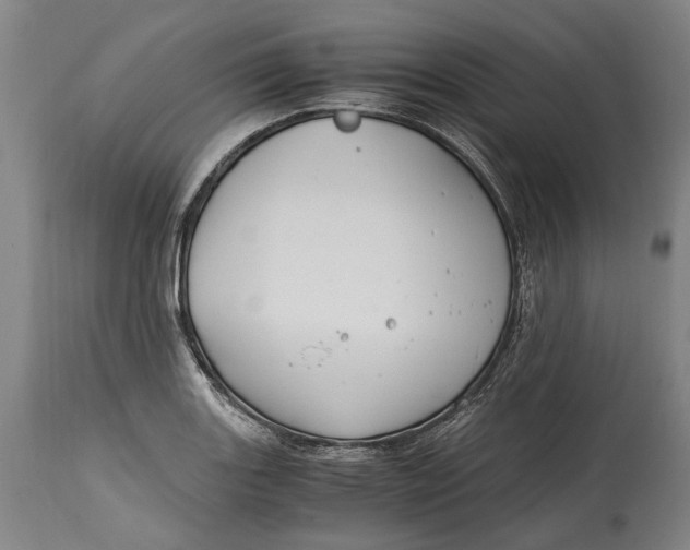 X0000114601131200911161348