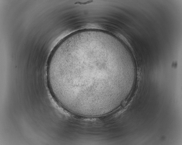 X0000114601133200911161348