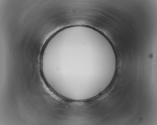 X0000114601134200911161348