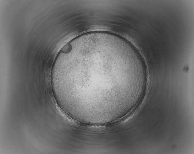 X0000114601137200911161348