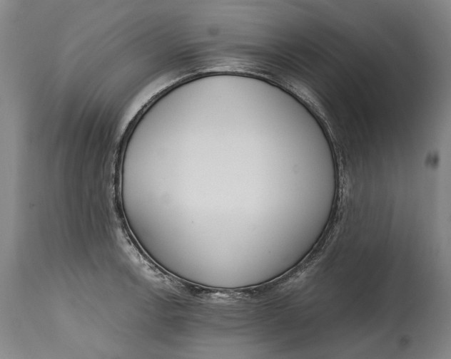 X0000114601138200911161348