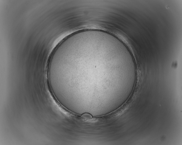 X0000114601141200911161348