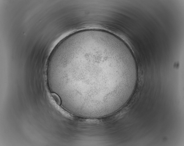 X0000114601142200911161348