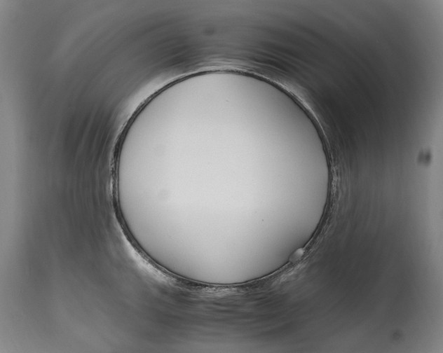 X0000114601143200911161348