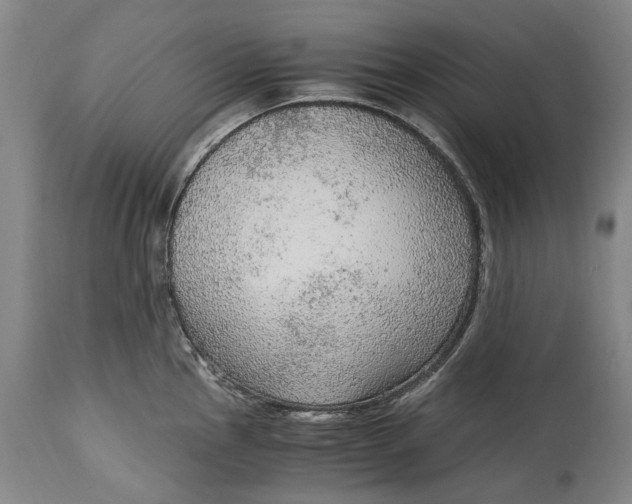 X0000114601145200911161348