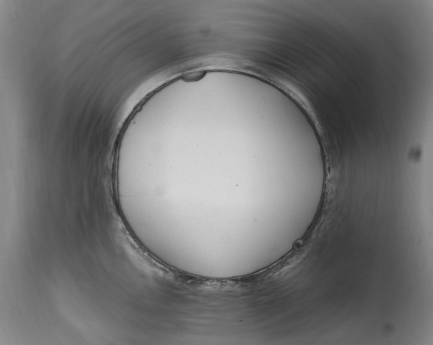 X0000114601146200911161348