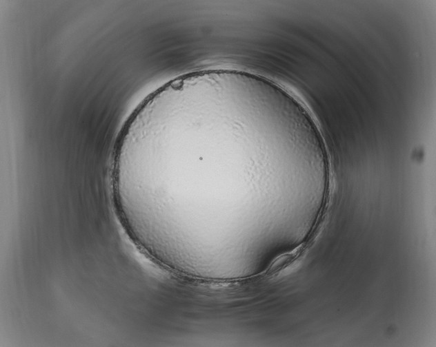 X0000114601149200911161348