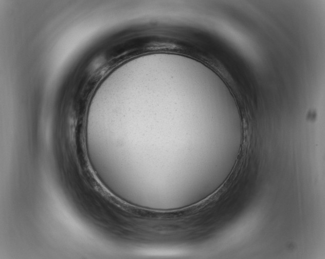 X0000114601151200911161348