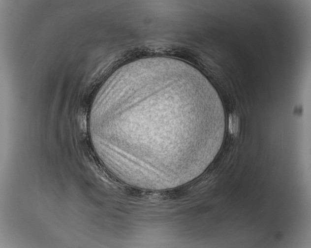 X0000114601155200911161347