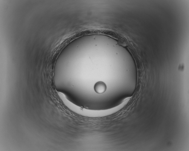 X0000114601157200911161347