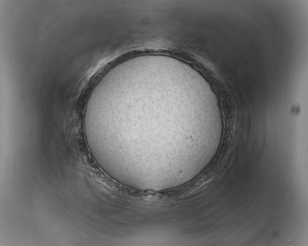 X0000114601160200911161347