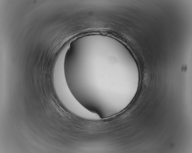 X0000114601161200911161347