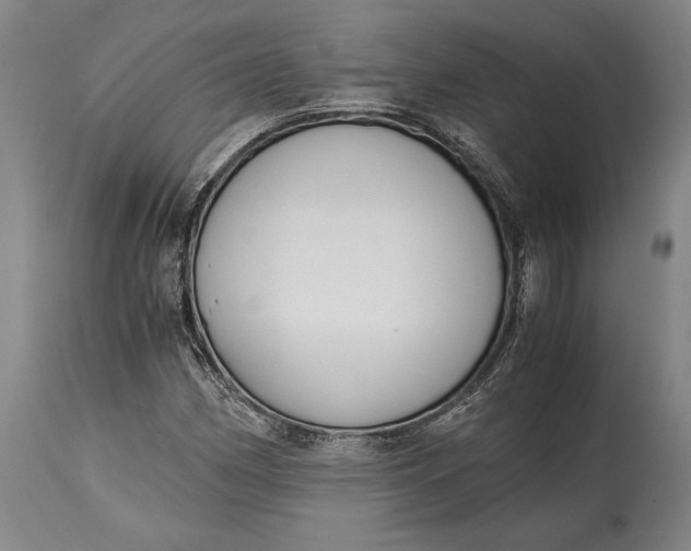 X0000114601162200911161347