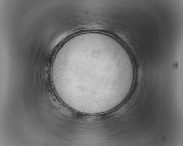 X0000114601163200911161347