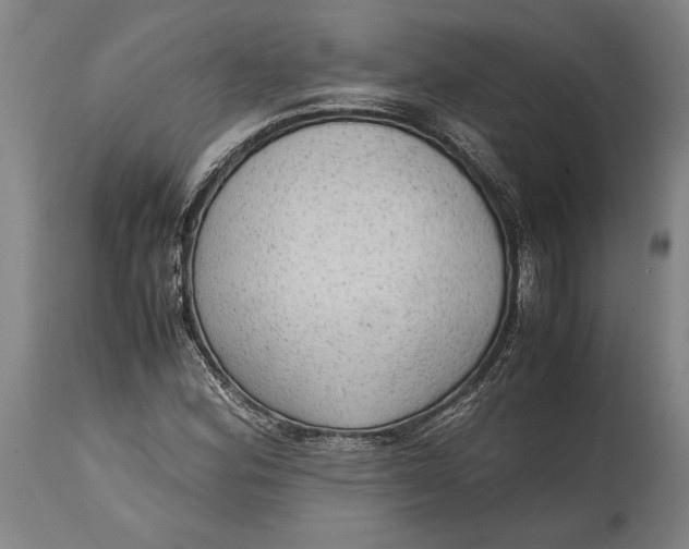 X0000114601164200911161347