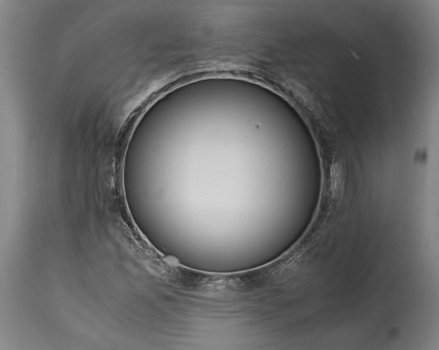 X0000114601165200911161347