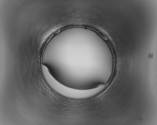 X0000114601167200911161347