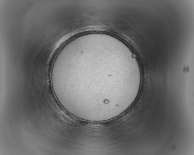 X0000114601168200911161347