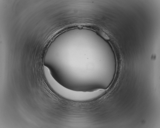 X0000114601169200911161347