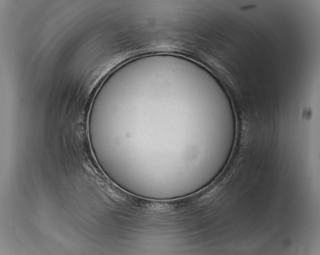 X0000114601170200911161347