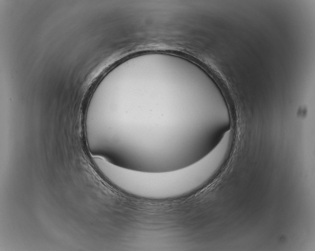 X0000114601173200911161347