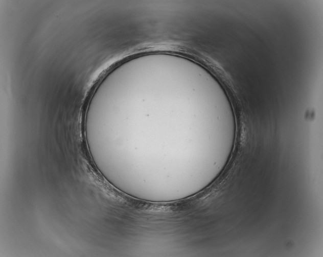 X0000114601174200911161347