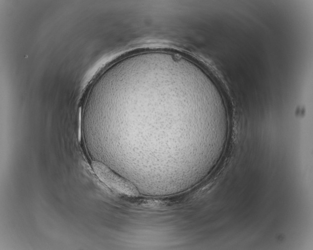 X0000114601175200911161347