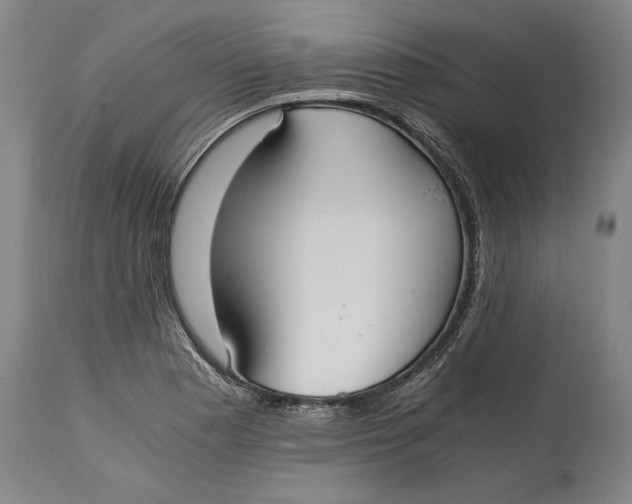 X0000114601177200911161347