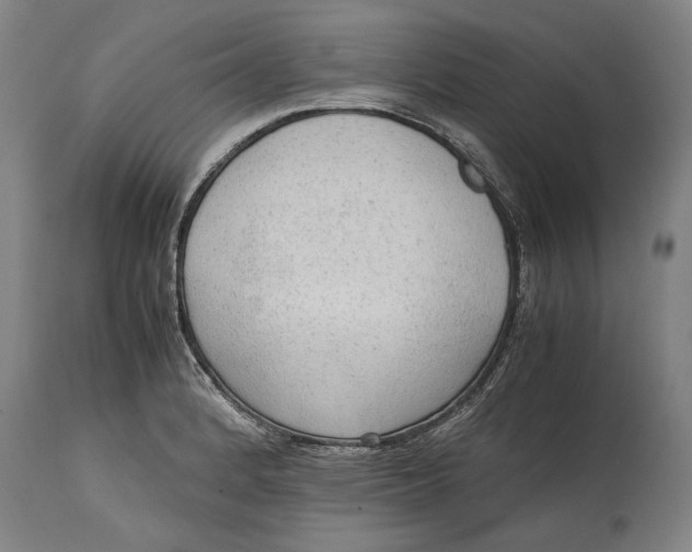 X0000114601184200911161347