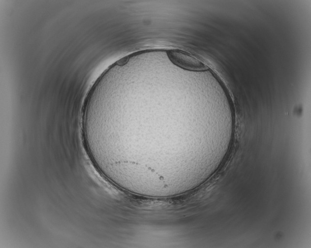 X0000114601187200911161347