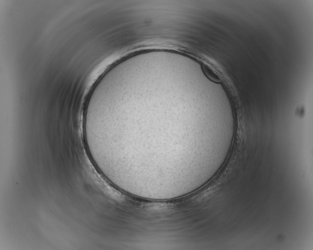 X0000114601188200911161347