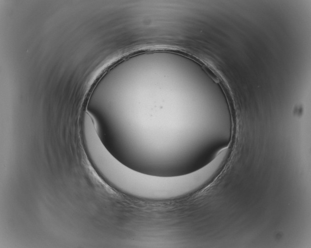 X0000114601189200911161347