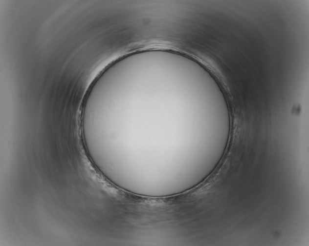 X0000114601190200911161347