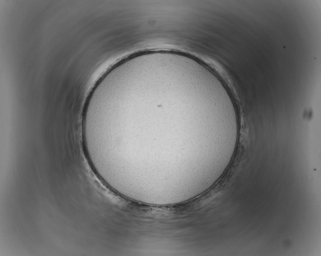 X0000114601191200911161347