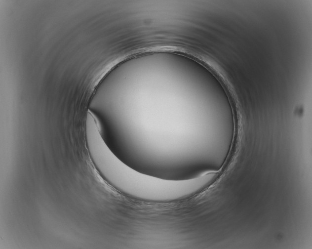 X0000114601193200911161346