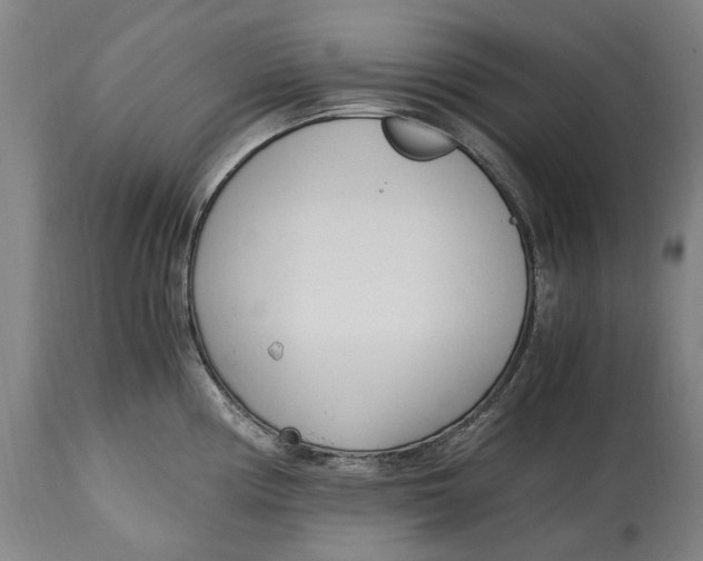 X0000114601194200911161346