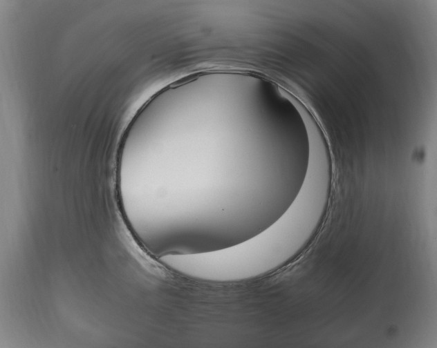 X0000114601195200911161346